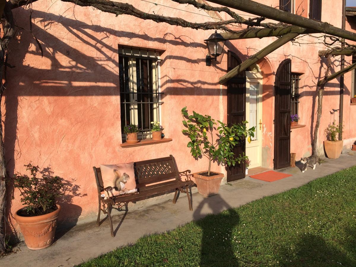 Gasthaus Agriturismo Il Pettirosso Forlì Exterior foto