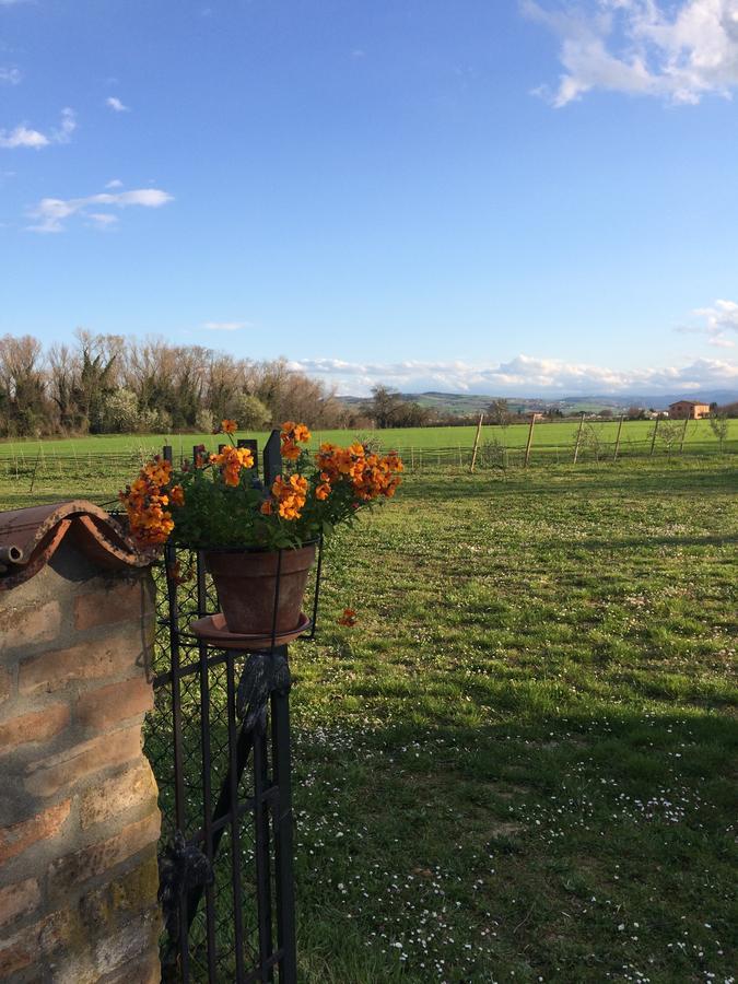Gasthaus Agriturismo Il Pettirosso Forlì Exterior foto